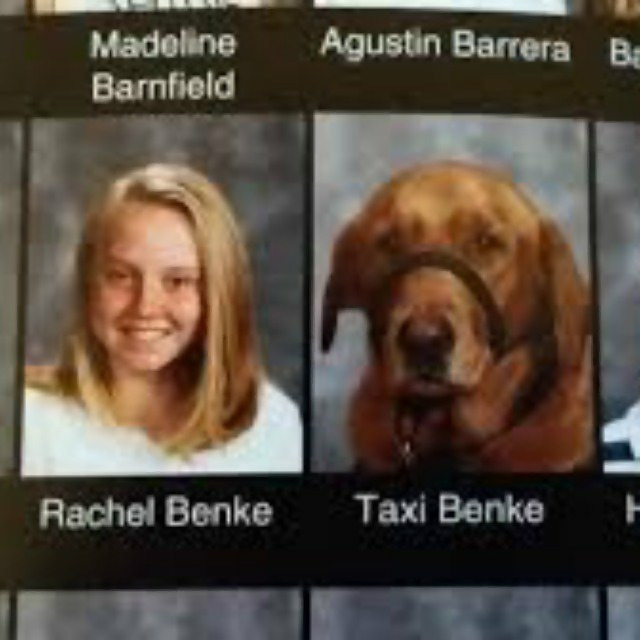 http://livestly.com/wp-content/uploads/2017/05/dogs-yearbook-2-1494899653174.jpg
