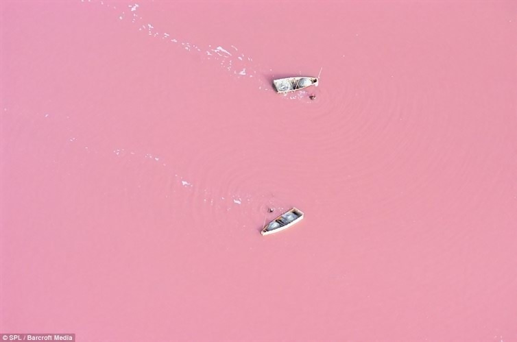 Lake Retba, one of the world's naturally occurring pink lakes.
