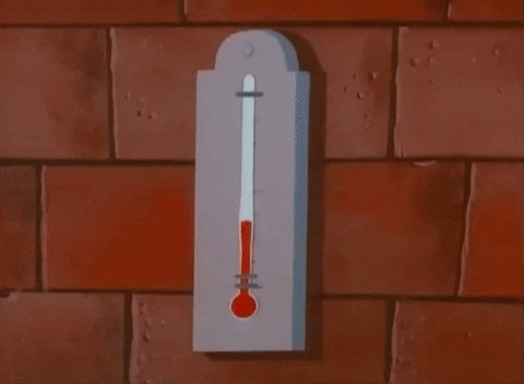 https://images.boredomfiles.com/wp-content/uploads/bolt/2019/09/thermometer.gif