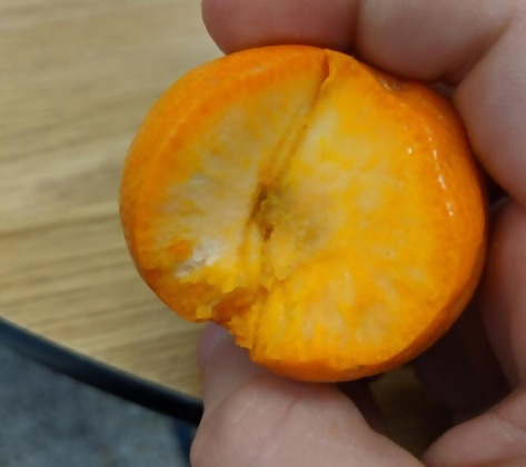 a clementine that is all peel