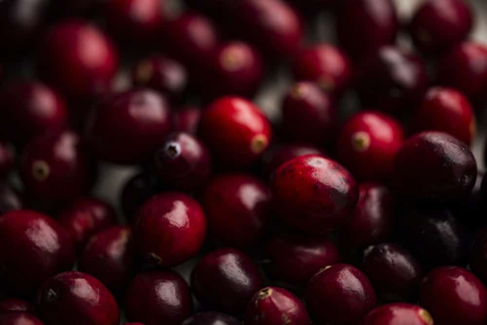 shallow focus photography of red berry lot