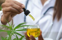 The hands of scientists dropping cannabis oil for experimenting and researching medicinal plants, ecology, marijuana, cbd oil, medicine from a glass bottle.