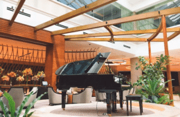Caring For Your Piano